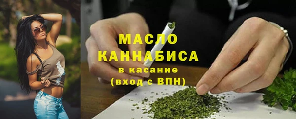 стафф Ельня