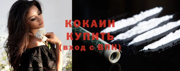 стафф Ельня