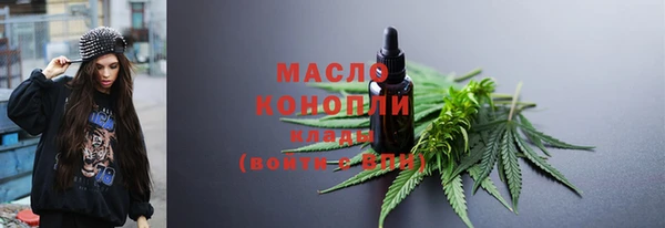 стафф Ельня