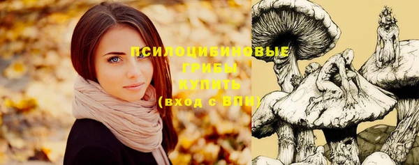 mix Елабуга