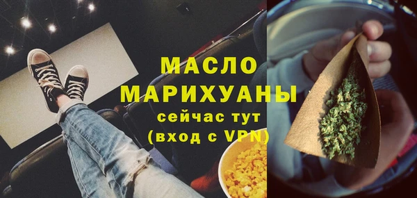 стафф Ельня