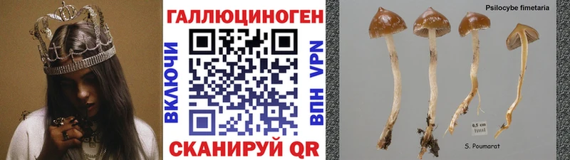 Псилоцибиновые грибы Magic Shrooms  закладки  Жуковский 